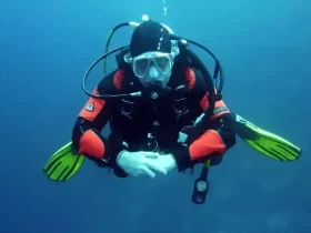 Kota Cilacap Wisata Diving Cilacap yang Cocok Untuk Eksplorasi Kekayaan Laut 47 kotacilacapdotcom